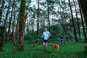 BIB: 
                            <button type="button" onclick="openModal(25020466)" class="btn btn-primary btn-sm float-right btn-popup" data-toggle="modal" data-target=".modal-high-quality">
                        <i class="fas fa-shopping-cart"></i> Add to Cart
                    </button>
                                            <button type="button" onclick="isThisMe(25020466, true)" class="btn btn-success btn-sm float-right btn-popup btn-isme hidden" data-toggle="tooltip" data-placement="bottom" title="นี่คือรูปของคุณใช่ไหม คลิกที่นี่เพื่อเอาเข้าอัลบั้ม">
                        <i class="fas fa-plus"></i> Add to album
                    </button>
                    <button type="button" onclick="isThisMe(25020466, false)" class="btn btn-warning btn-sm float-right btn-popup btn-isnotme hidden">
                        <i class="fas fa-ban"></i> Remove from album
                    </button>